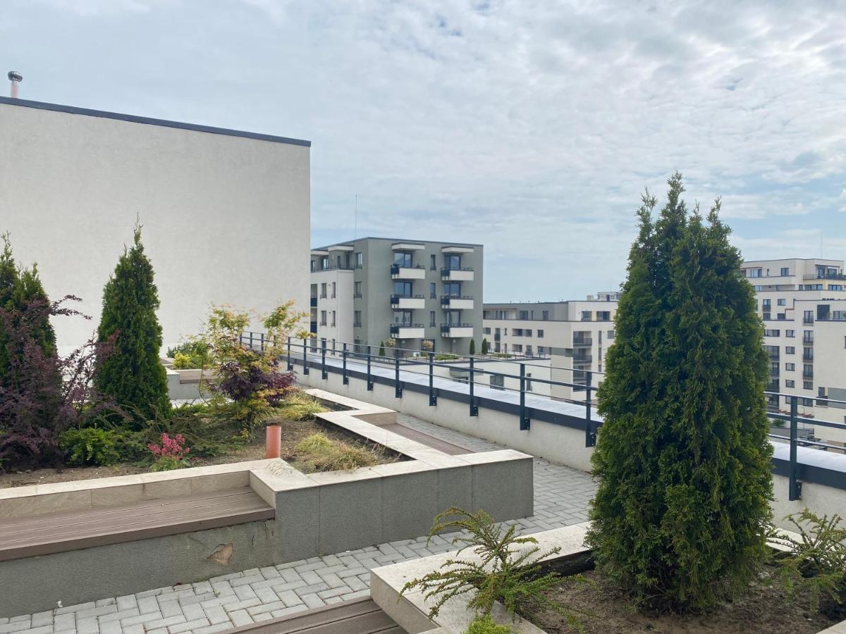 Astoria Apartment - Pet Friendly Брашов Екстер'єр фото